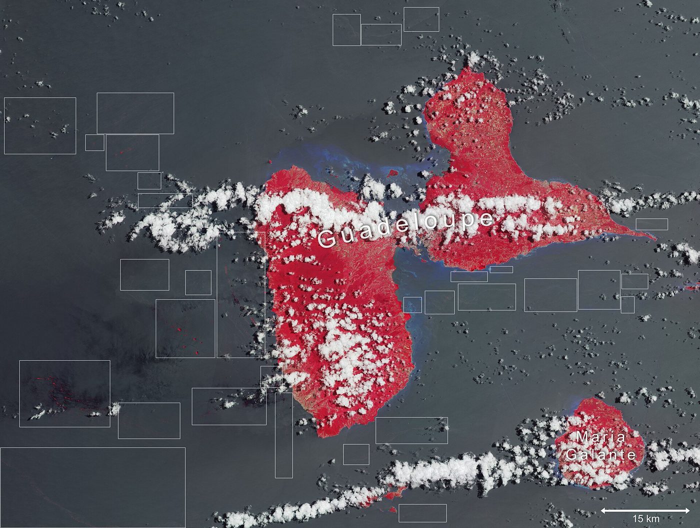 Imagen del satélite Copernicus Sentinel-2 con detecciones de sargazo resaltadas alrededor de Guadalupe